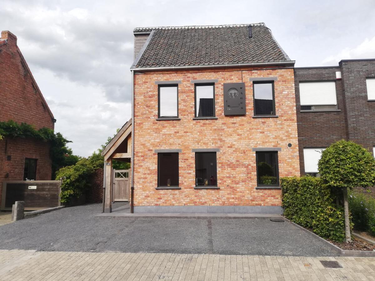 Buggenhout B&B Fagus المظهر الخارجي الصورة